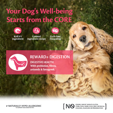Функциональные лакомства для собак Wellness Core Reward+ Digestion для пищеварения с крилем, 170 г
