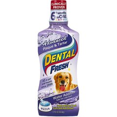 Рідина від зубного нальоту і запаху з рота собак і котів SynergyLabs Dental Fresh Advanced, 503 мл
