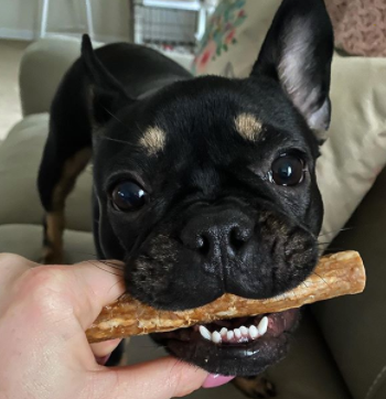 Натуральні ласощі для зубів собак WHIMZEES Dental Treats Veggie Sausage, 28 шт., S