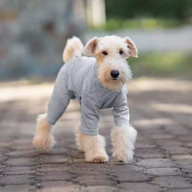 Базовый комбинезон/пижама для собак V.PET.B.R. Dog Jumpsuit CF36 Grey, 46 см, 60 см, 36 см, 2XL
