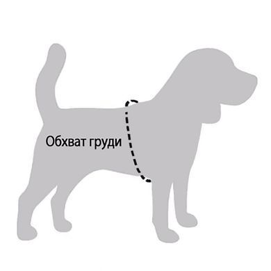 Шлея для cобак дрібних порід BronzeDog Sport Неопрен 3D Сітка, Помаранчевий, X-Small