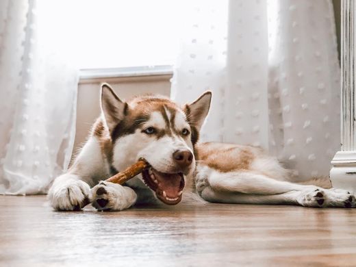 Натуральні ласощі для зубів собак WHIMZEES Dental Treats Veggie Sausage, 28 шт., S