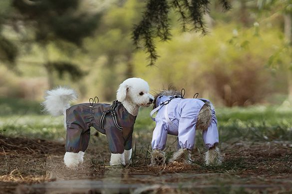 Светоотражающий дождевик-комбинезон для собак Derby R61 Grey Reflective, 21 см, 41 см, 27 см, S