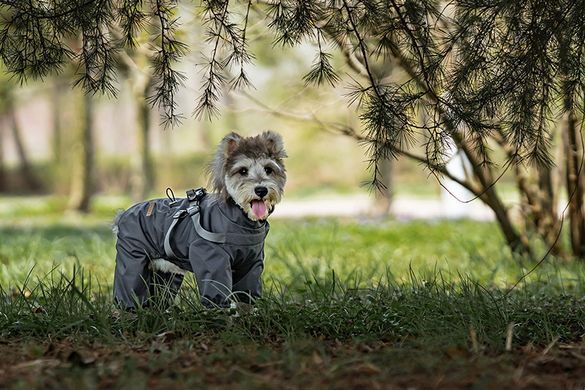 Светоотражающий дождевик-комбинезон для собак Derby R61 Grey Reflective, 21 см, 41 см, 27 см, S
