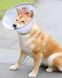 Ветеринарний комір для собак і котів Komii Pet Soft Cone Collar, XS, 16-19 см, 11,5 см