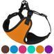 Шлея для cобак дрібних порід BronzeDog Sport Неопрен 3D Сітка, Помаранчевий, X-Small