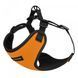 Шлея для cобак дрібних порід BronzeDog Sport Неопрен 3D Сітка, Помаранчевий, X-Small
