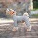 Базовый комбинезон/пижама для собак V.PET.B.R. Dog Jumpsuit CF36 Grey, 46 см, 60 см, 36 см, 2XL
