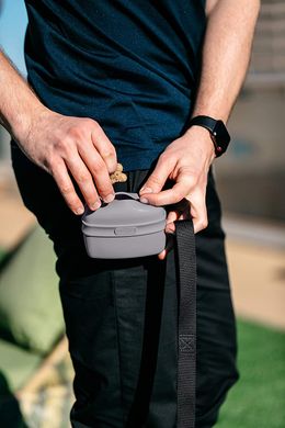 Силіконова сумка Dexas для собачих ласощів / тренувальних ласощів, серый