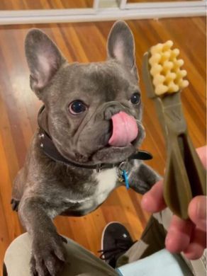 Натуральные лакомства для зубов собак WHIMZEES Dental Treats Toothbrush, 1 шт., XL