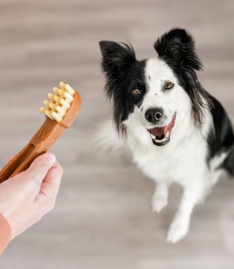 Натуральные лакомства для зубов собак WHIMZEES Dental Treats Toothbrush, 1 шт., XL