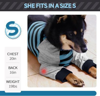 Костюм для відновлення собак Derby Stop Licking Dog Recovery Shirt, Blue, 25 см, 58 см, 30 см, 3XL