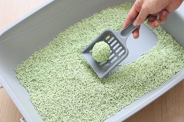 Біорозкладний наповнювач для котячих туалетів UNIQ PETS CAT LITTER TOFU green tea, 5 кг