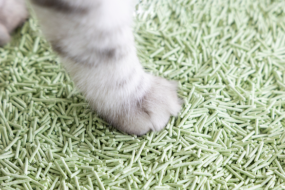 Біорозкладний наповнювач для котячих туалетів UNIQ PETS CAT LITTER TOFU green tea, 5 кг