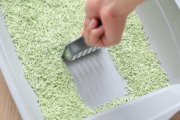 Біорозкладний наповнювач для котячих туалетів UNIQ PETS CAT LITTER TOFU green tea, 5 кг