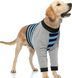 Костюм для відновлення собак Derby Stop Licking Dog Recovery Shirt, Blue, 25 см, 58 см, 30 см, 3XL