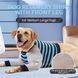 Костюм для відновлення собак Derby Stop Licking Dog Recovery Shirt, Blue, 25 см, 58 см, 30 см, 3XL