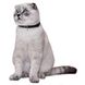 Ошейник для котов BronzeDog Urban Черепа Нейлоновый на Резинке с Колокольчиком, Черный, X-Small