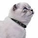 Ошейник для котов BronzeDog Urban Черепа Нейлоновый на Резинке с Колокольчиком, Черный, X-Small