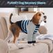 Костюм для відновлення собак Derby Stop Licking Dog Recovery Shirt, Blue, 25 см, 58 см, 30 см, 3XL
