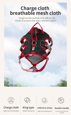 Шлея для собак Derby Pet harness FH107, Черный