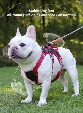 Шлея для собак Derby Pet harness FH107, Черный