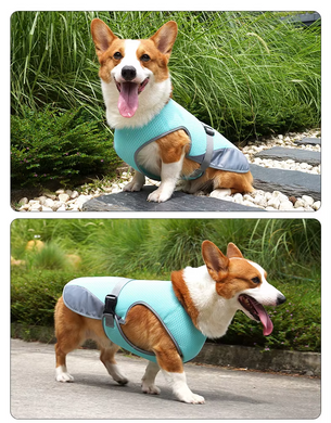 Літній охолоджуючий жилет для собак Derby Summer Dog Cooling Vest PA0115, 35-42 см, 42-52 см, S