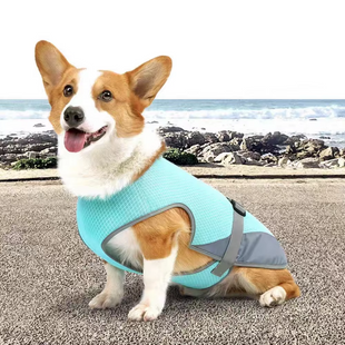 Летний охлаждающий жилет для собак Derby Summer Dog Cooling Vest PA0115, 35-42 см, 42-52 см, S
