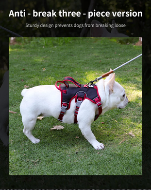 Шлея для собак Derby Pet harness FH107, Черный