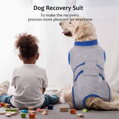 Попона для відновлення собак Wan Talk Recovery Suit, Blue/Grey, 25 см, 33-40 см, 27 см, XS