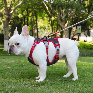 Шлея для собак Derby Pet harness FH107, Черный