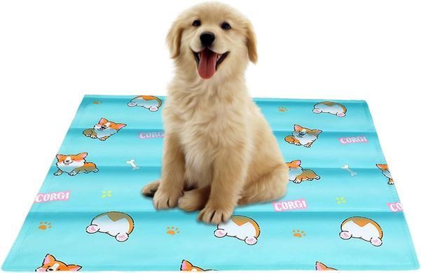 Охлаждающий коврик для собак и кошек GEL Material Summer Pet Cooling Mat, Corgi Blue, 60х90 см