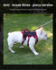 Шлея для собак Derby Pet harness FH107, Черный