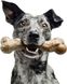 Жувальна кістка для собак Pet Qwerks Zombie BAMBOO BarkBone зі смаком арахісового масла, X-Large