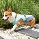 Літній охолоджуючий жилет для собак Derby Summer Dog Cooling Vest PA0115, 35-42 см, 42-52 см, S