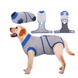Попона для відновлення собак Wan Talk Recovery Suit, Blue/Grey, 25 см, 33-40 см, 27 см, XS