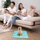 Охлаждающий коврик для собак и кошек GEL Material Summer Pet Cooling Mat, Corgi Blue, 60х90 см