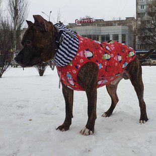 Жилет Smart Pet Пингвин, 22-24 см, 28-37 см, XS