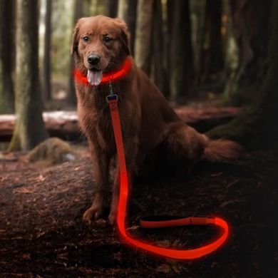 LED-поводок для собак BSEEN, Оранжевый