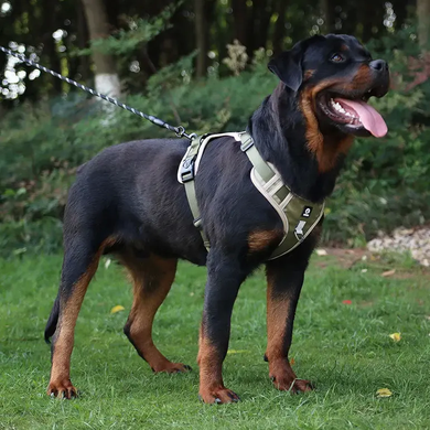 Нейлоновая двухсторонняя тактическая шлейка для собак Tactical Dog Harness, Хаки, Small