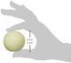 Игрушка-мяч для собак ChuckIt! Max Glow Ball, Small, 1 шт.