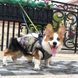 Светоотражающая зимняя куртка для собак V.PET.B.R D58 camo, 32 см, 36 см, 26,5 см, S