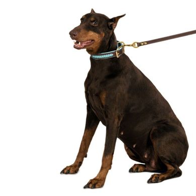Нашийник для Собак Шкіряний BronzeDog Premium з Плетінням і Литий латунний фурнітура Коричнево-Помаранчевий