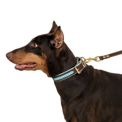 Нашийник для Собак Шкіряний BronzeDog Premium з Плетінням і Литий латунний фурнітура Коричнево-Помаранчевий