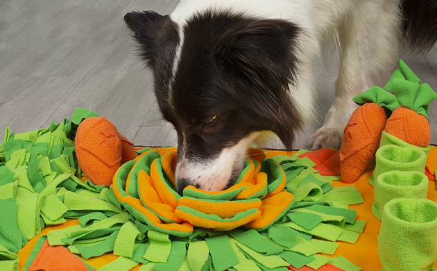 Коврик для нюханья для собак Derby Pet Shuffle Mat orange