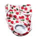 Многоразовый подгузник для сук Derby KS002-13 Cherry, XL, 60-70 см