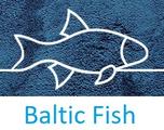 Baltic Fish