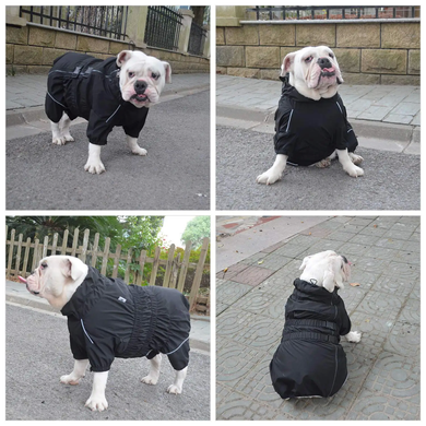 Комбінезон-дощовик для собак Derby Dog Suit Black, 31-36 см, 31-41 см, 23-29 см, S