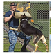 Рукав для дресирування собак Derby Dog Training Bite Sleeve, Бежевий