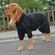 Комбінезон-дощовик для собак Derby Dog Suit Black, 31-36 см, 31-41 см, 23-29 см, S